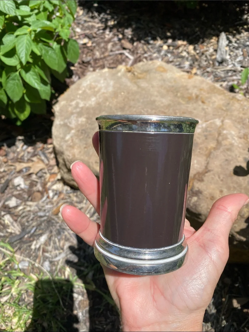 Silver-Trimmed Dark Brown Cylindrical Tumbler